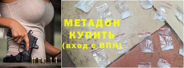 крисы Бородино