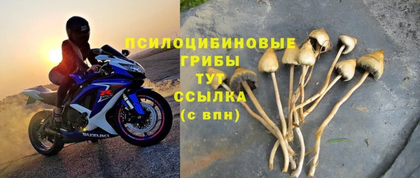 твердый Володарск