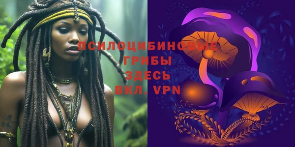 твердый Володарск